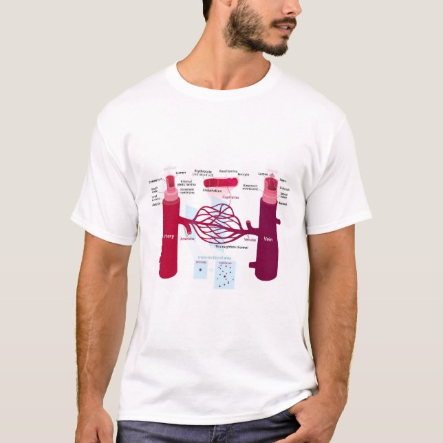 Camiseta Vasos de sangre Diagrama Arterias Venas Capilares (Anverso)