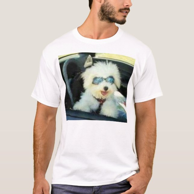 CAMISETA ¡VAYAMOS! (Anverso)