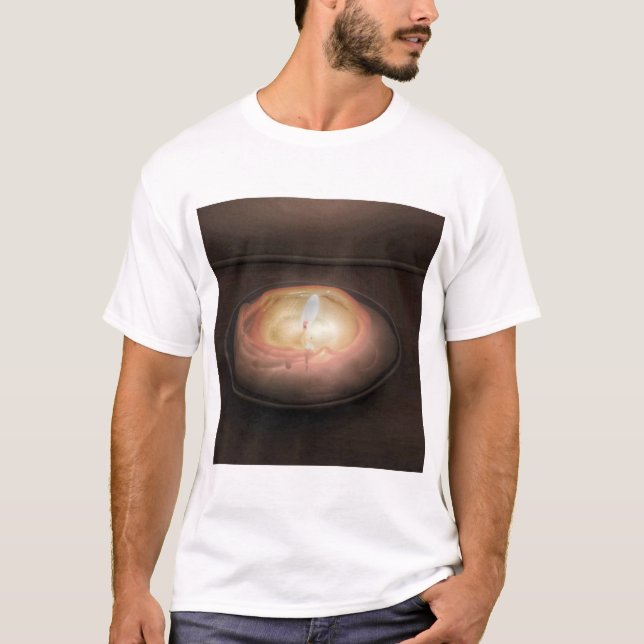 Camiseta Vela de fusión (Anverso)