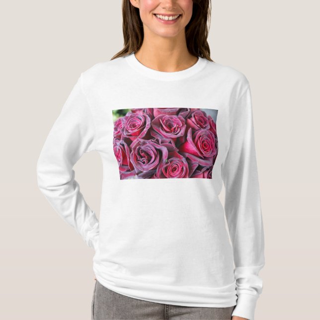 Camiseta Velvet Beauty Long Sleeve T-Shirt (Anverso)