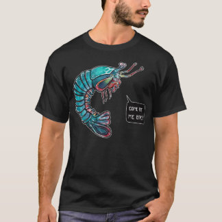 Camiseta Ven conmigo hermano