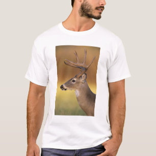 Camiseta Venado de cola blanca, Odocoileus virginianus,