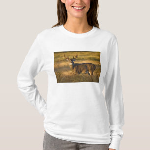 Camiseta Venado de cola blanca (Odocoileus virginianus) adu
