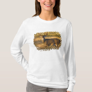 Camiseta Venado de cola blanca (Odocoileus virginianus) adu