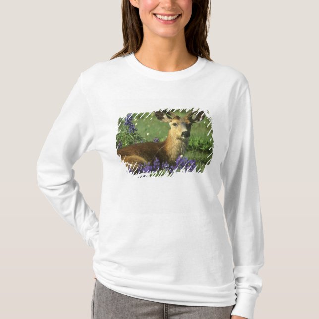 Camiseta Venado de cola negra, Odocoileus hemionus (Anverso)