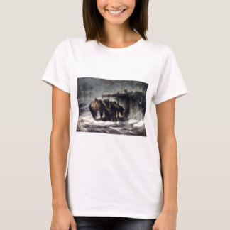 Camiseta Ventisca de Adolfo Schreyer Wallachian