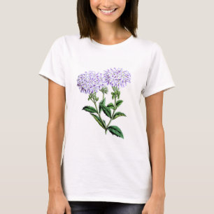 Camiseta Verbena, Dama de Langlebury