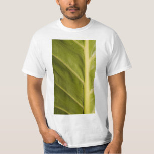 Camiseta Verde 01