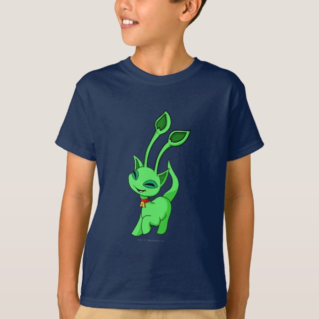 Camiseta Verde de Aisha (Anverso)