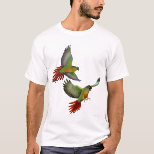 Camiseta verde de Cheeked Conures