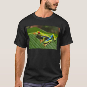 Camiseta Verde Rana