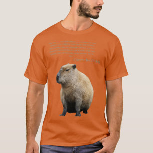 Camiseta Versos de la Biblia de Capibara