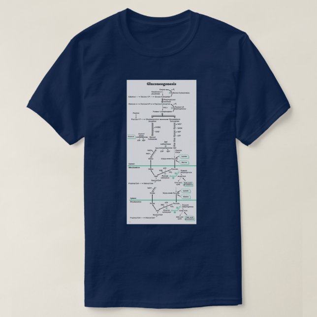 Camiseta Vía bioquímica de la gluconeogénesis (Diseño del anverso)