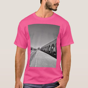 Camiseta Viajes ferroviarios Classic TShirt