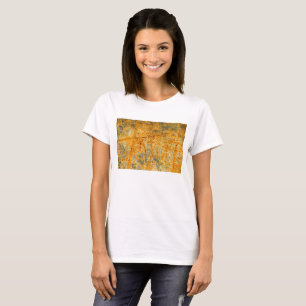 Camiseta vías de óxido ácido