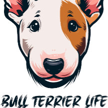 Vida de Bull Terrier