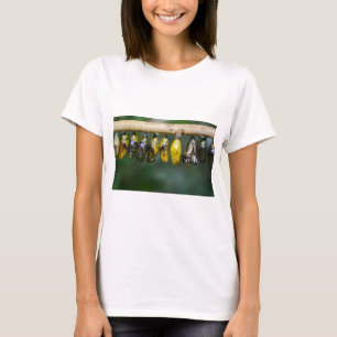 Camiseta Vida de capullo colorido