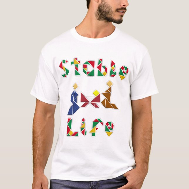 Camiseta Vida estable (Anverso)