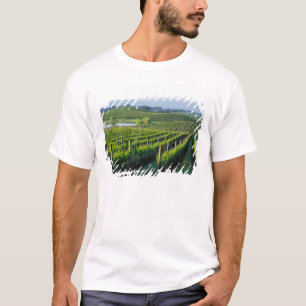 Camiseta Vides en hileras ordenadas en Napa, California
