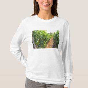 Camiseta Vides entrenadas en alto sobre cables sostenidos p