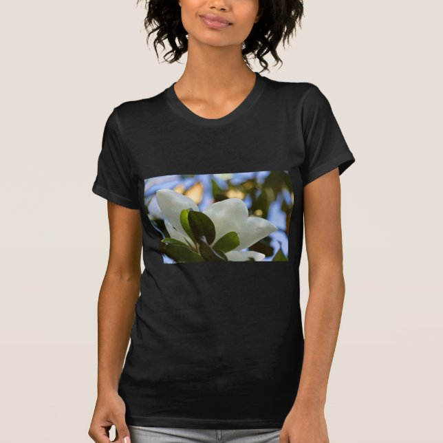 Camiseta Vidrio manchado Sky Southern Magnolia Regalos (Anverso)