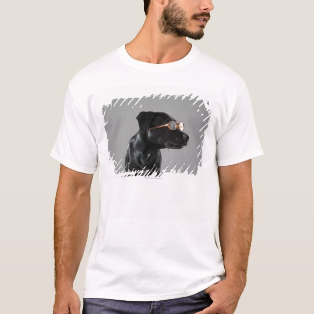Camiseta Vidrios que llevan del perrito (Anverso)