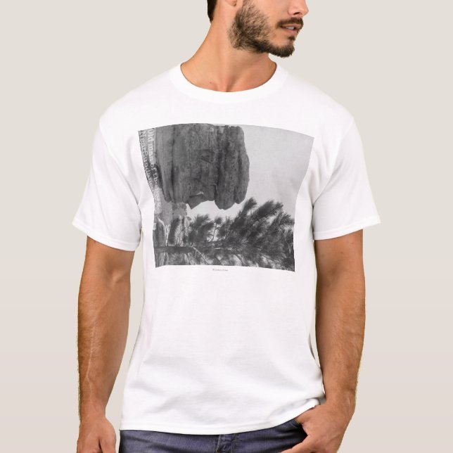 Camiseta "Viejo hombre" del parque cerca de la fotografía (Anverso)