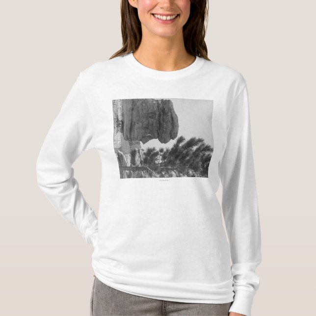 Camiseta "Viejo hombre" del parque cerca de la fotografía (Anverso)