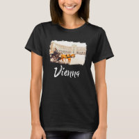 Viena Ciudad Austria Wien Viena