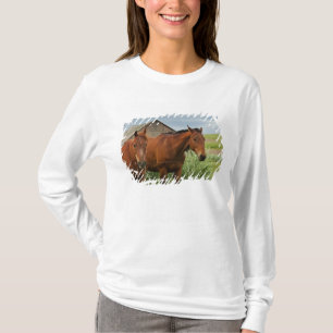 Camiseta Viendo caballos en un campo en el Palouse 3