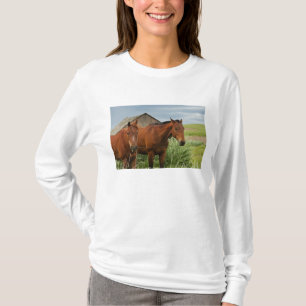 Camiseta Viendo caballos en un campo en Palouse 3
