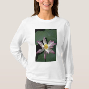 Camiseta Vietnam, cerca de Saigón) My Tho. Vinh Trang