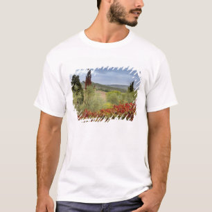 Camiseta Viñedo cerca de Montalcino, Toscana, Italia