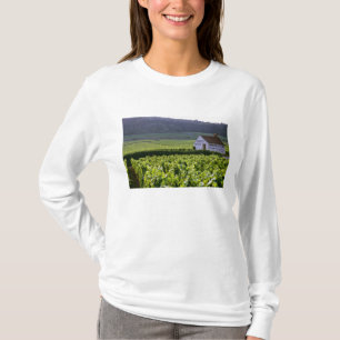 Camiseta viñedo Chambertin Clos de Beze Grand Cru con