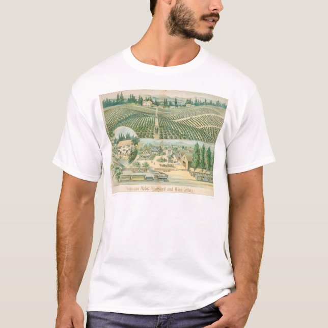 Camiseta Viñedo de Nouveau Medoc y bodegas (1213A) (Anverso)