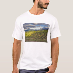 Camiseta Viñedo. Napa Valley. Napa. Condado de Napa,