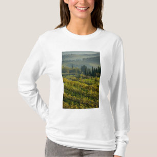 Camiseta Viñedo, Toscana, Italia