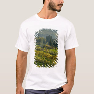 Camiseta Viñedo, Toscana, Italia