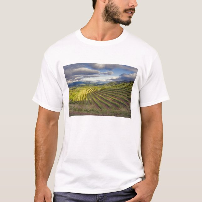 Camiseta Viñedo. Valle de Napa. Napa. Condado de Napa (Anverso)