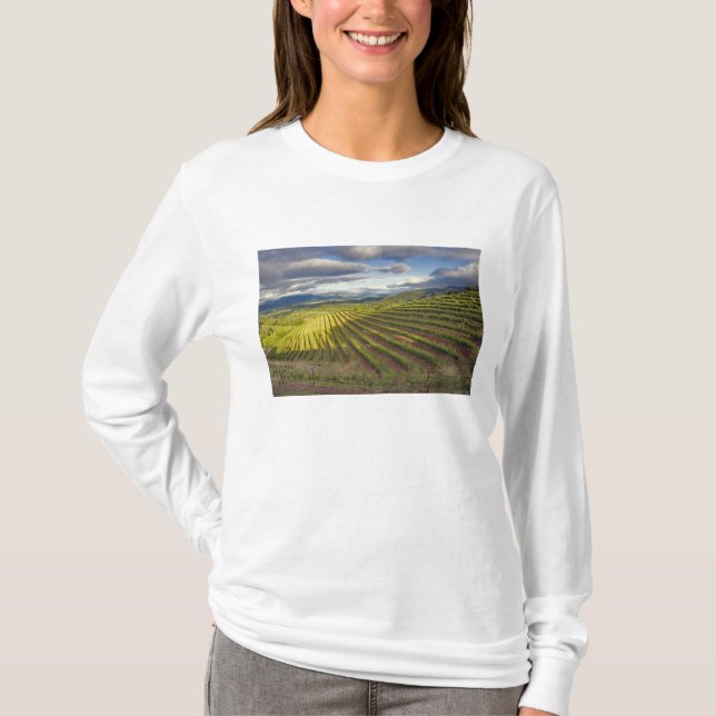 Camiseta Viñedo. Valle de Napa. Napa. Condado de Napa (Anverso)