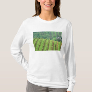Camiseta Viñedos de uva cerca de Newberg Oregon