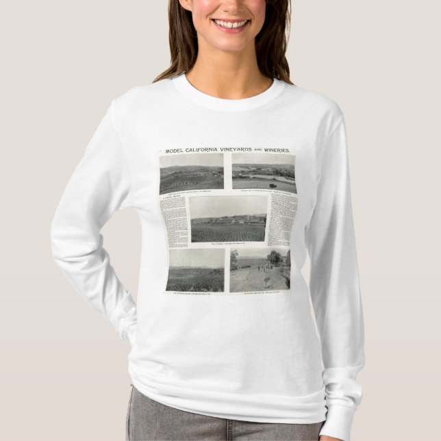 Camiseta Viñedos modelo, California (Anverso)