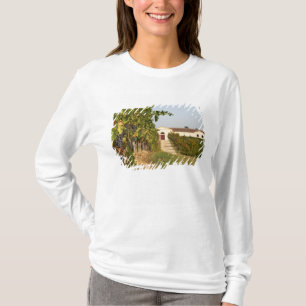 Camiseta Viñedos, vides de petit verdot y la bodega en