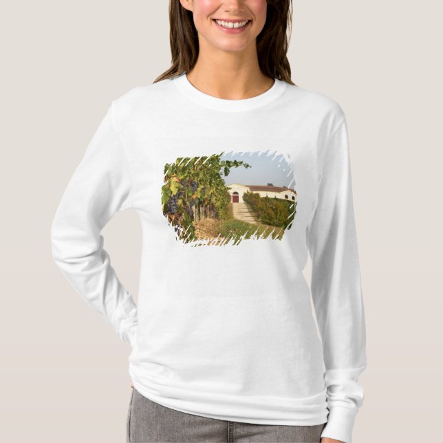 Camiseta Viñedos, vides de petit verdot y la bodega en (Anverso)