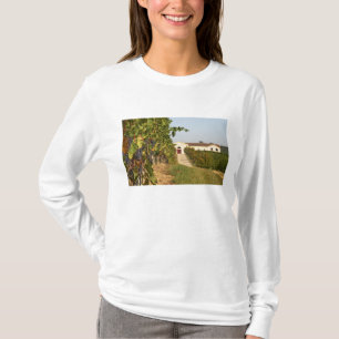 Camiseta Viñedos, vides petit verdot y la bodega en