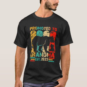 Camiseta Viñeta Promovida A La Nueva Madre Abuela Gramma 20