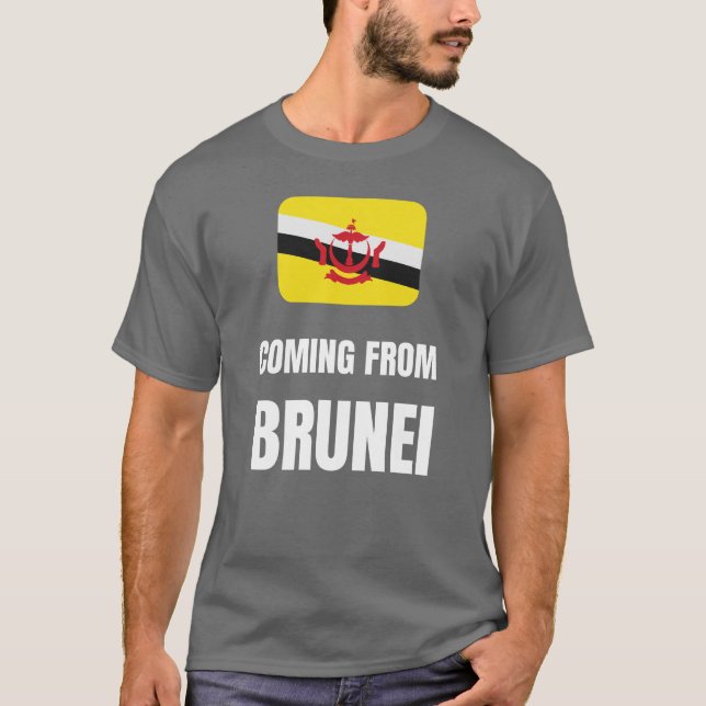 Camiseta Viniendo de brunei (Anverso)