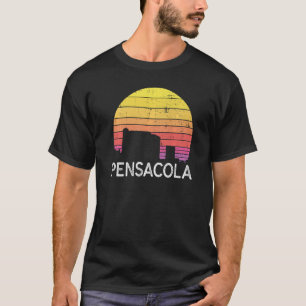 Camiseta Vint Skyline Visitantes de Retro Florida City Pens