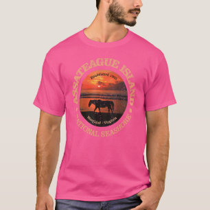 Camiseta Vintage Assateague Island National Seashore Rd