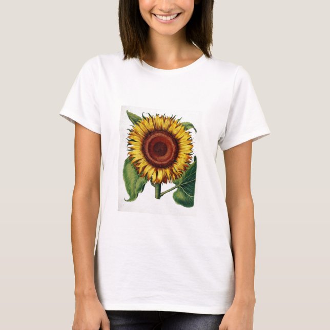 Camiseta Vintage botánico - girasol, (Anverso)